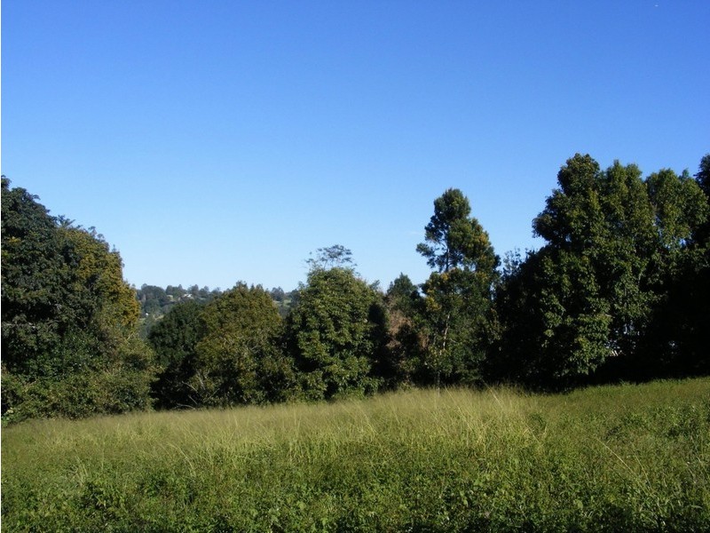 14 Kondalilla Falls Road, Montville QLD 4560