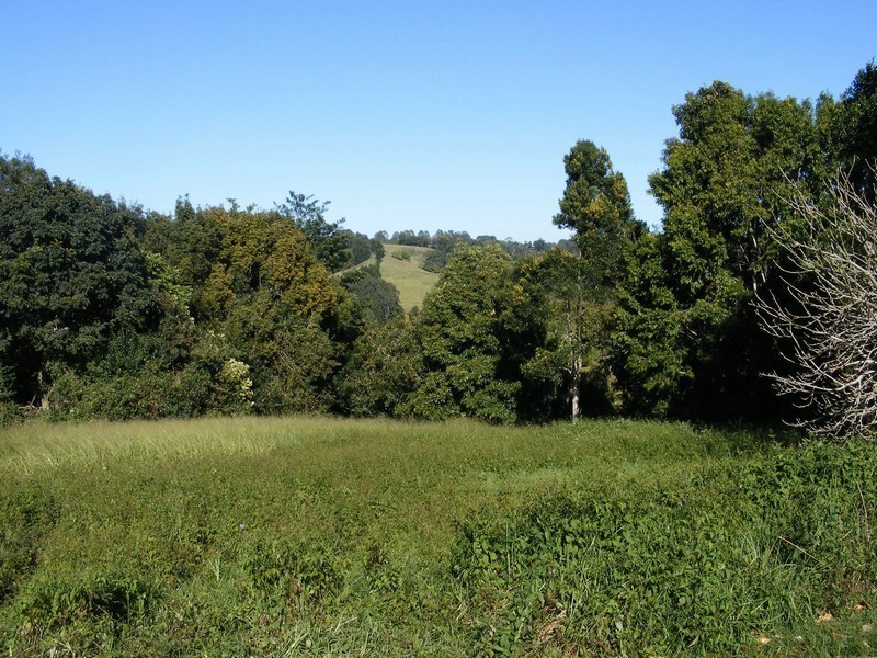 14 Kondalilla Falls Road, Montville QLD 4560