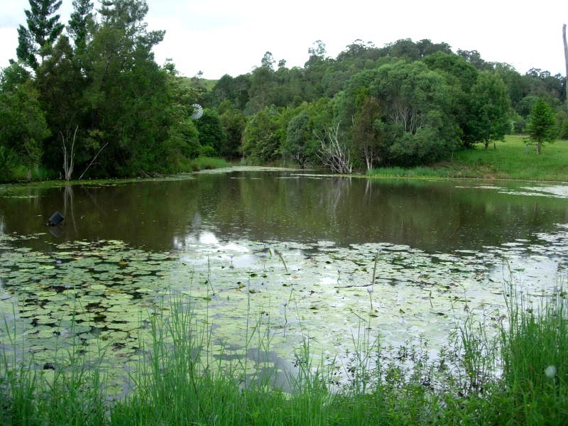 146 Hunsley Rd, Obi Obi QLD 4574