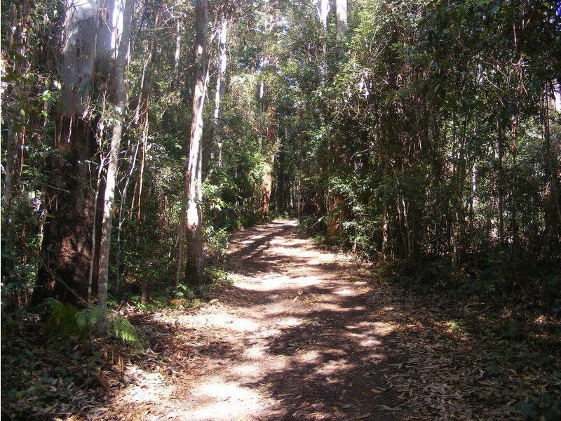 Dulong QLD 4560