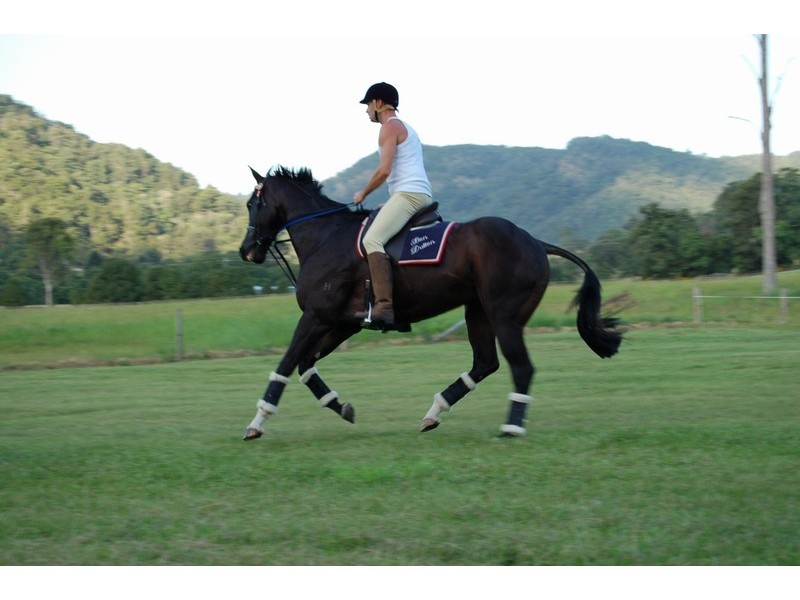 Obi Obi QLD 4574