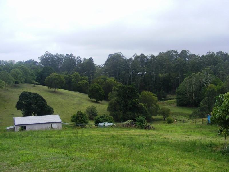 Maleny QLD 4552