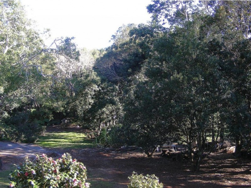 146 Balmoral Road, Montville QLD 4560