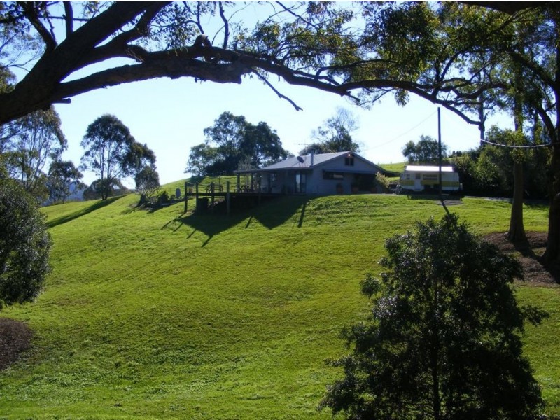 Maleny QLD 4552