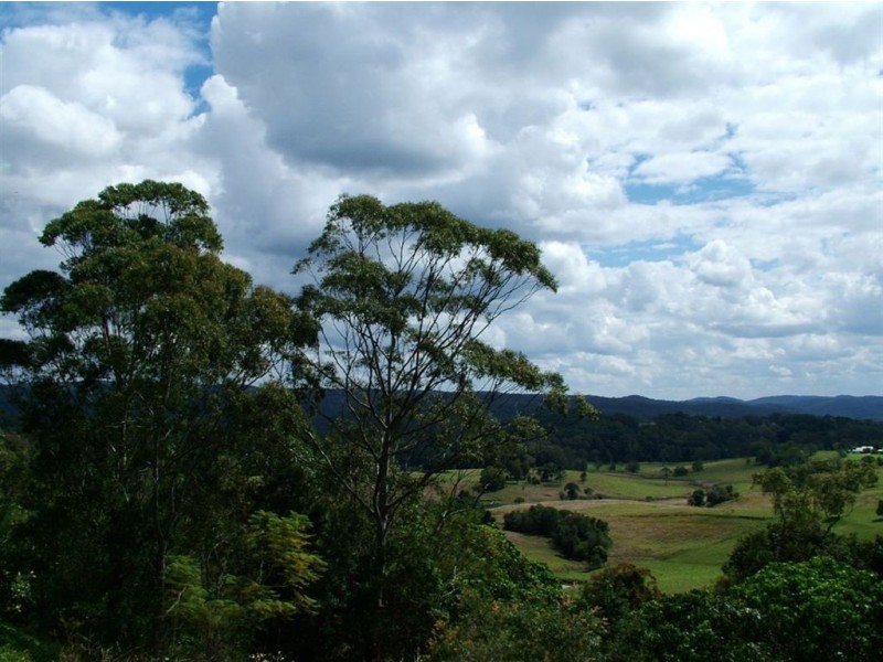 4 Talana Drive, Dulong QLD 4560