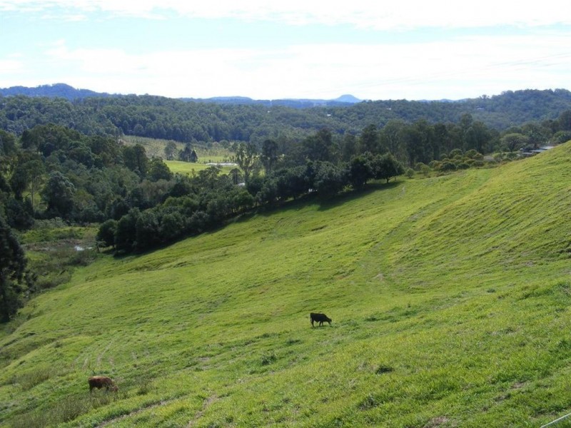 152 Shurvell Road, Hunchy QLD 4555