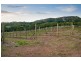 Kenilworth QLD 4574