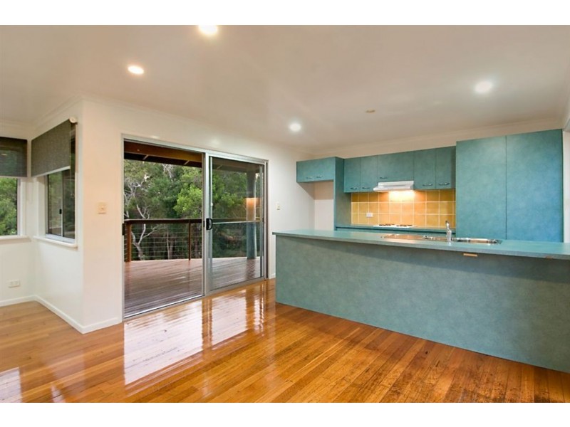 16 Hoffman Close, Montville QLD 4560