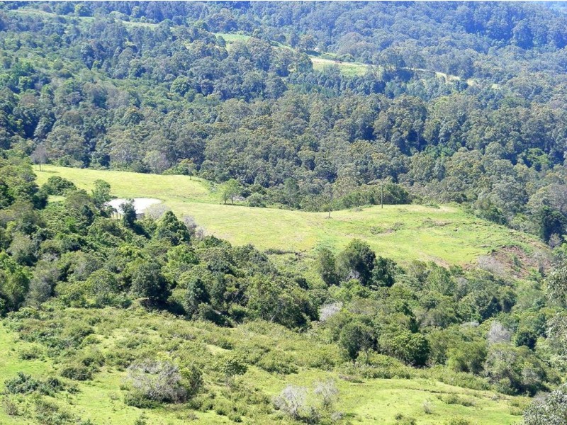 Montville QLD 4560