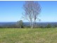 Montville QLD 4560