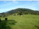 Conondale QLD 4552