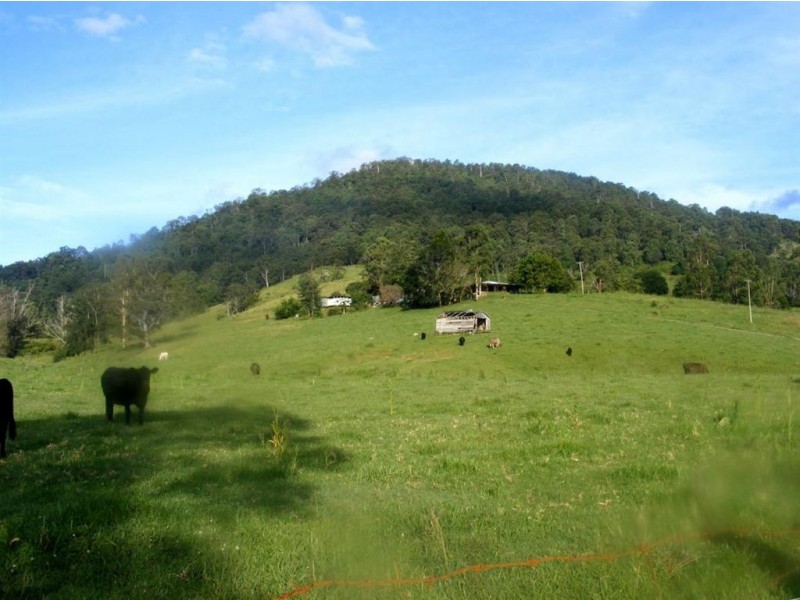 Conondale QLD 4552