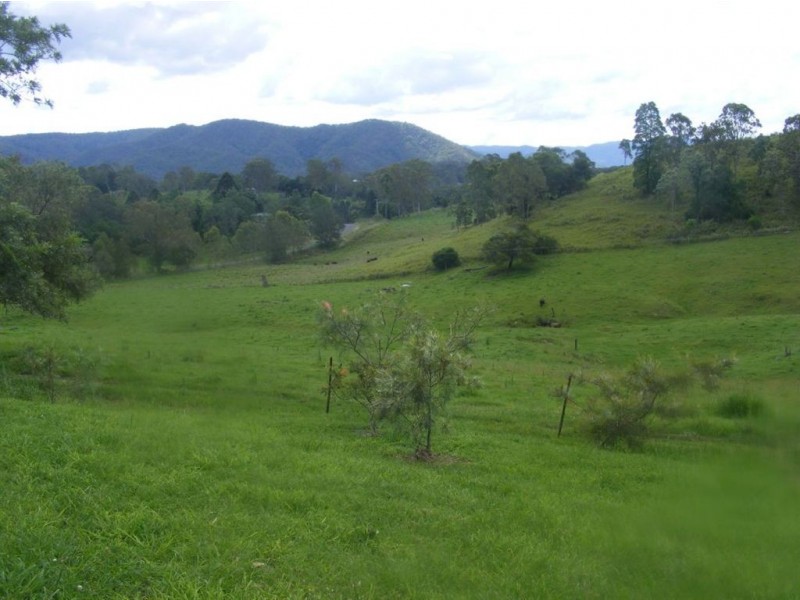 Conondale QLD 4552