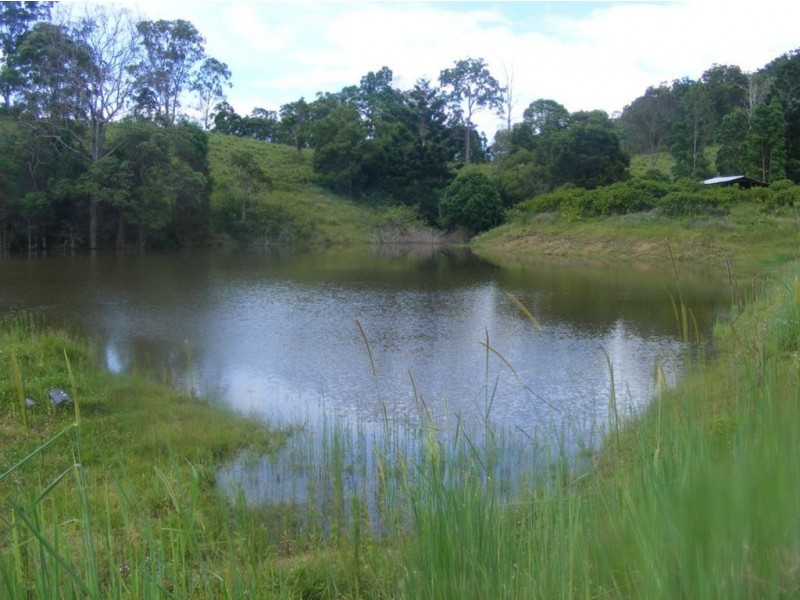 Conondale QLD 4552