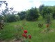 Conondale QLD 4552