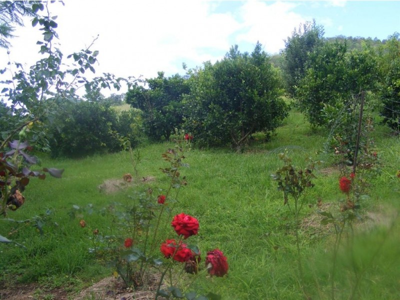 Conondale QLD 4552