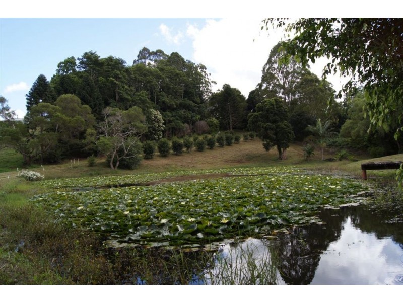 Flaxton QLD 4560