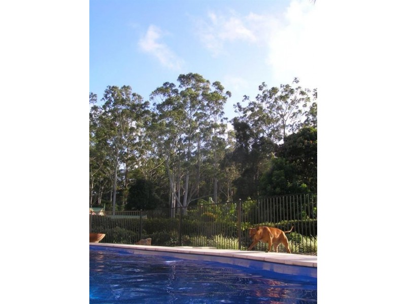 10 Toona Place, Mapleton QLD 4560