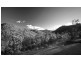 Mapleton QLD 4560