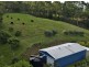 Bald Knob QLD 4552