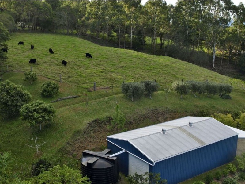 Bald Knob QLD 4552