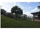 Bald Knob QLD 4552