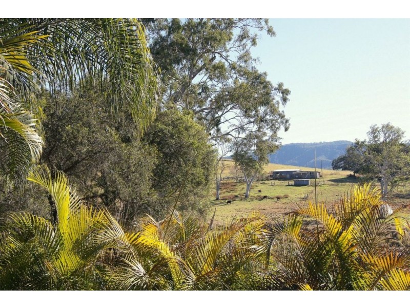 28 Anne Street, Kenilworth QLD 4574