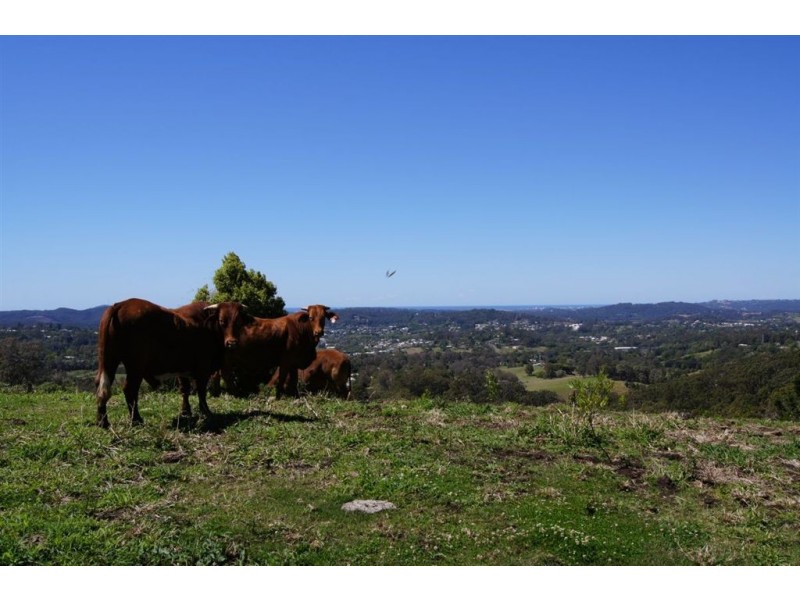 81 Thompson Road, Dulong QLD 4560