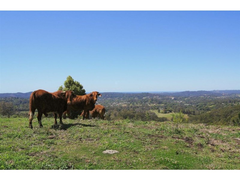 81 Thompson Road, Flaxton QLD 4560