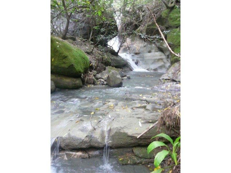 81 Thompson Road, Flaxton QLD 4560