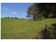 1325 Landsborough-Maleny Road, Maleny QLD 4552