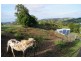 Flaxton QLD 4560