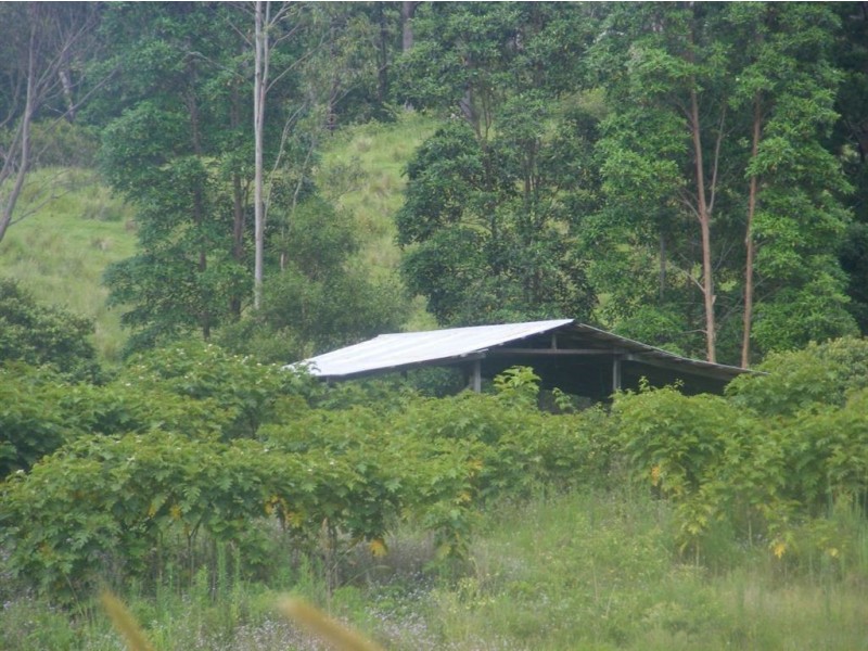 Conondale QLD 4552