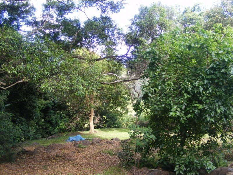 47 Thompson Road, Dulong QLD 4560