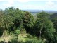 47 Thompson Road, Dulong QLD 4560