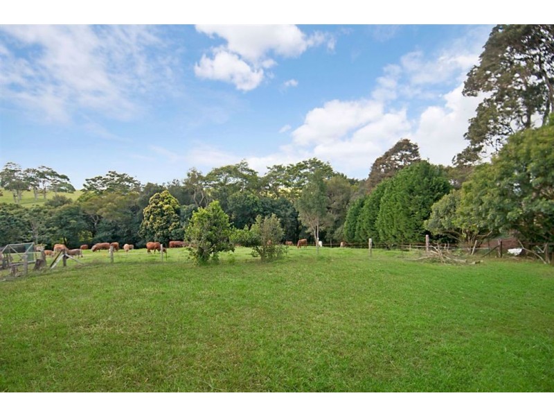 Maleny QLD 4552