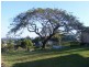 111 Nambour-Mapleton Road, Nambour QLD 4560
