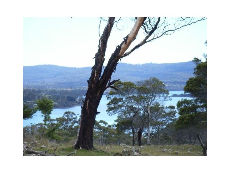 Lot 1 Deviot Road, Deviot TAS 7275