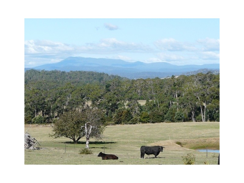 232 Winkleigh Road, Exeter TAS 7275