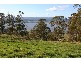 3 Pine Tree Avenue, Grindelwald TAS 7277
