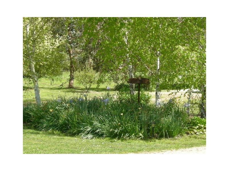 8 Flinders St, Beauty Point TAS 7270