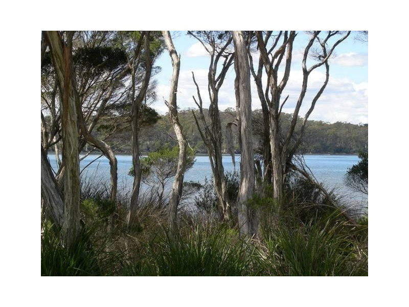 8 Flinders St, Beauty Point TAS 7270