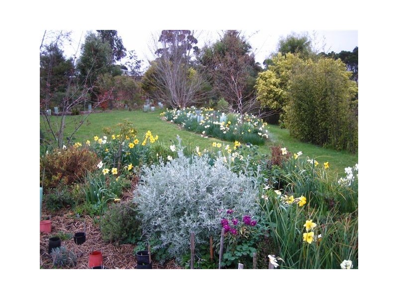 8 Flinders St, Beauty Point TAS 7270