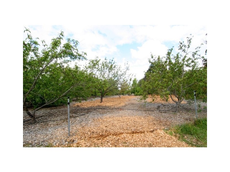 176b Freshwater Point Road, Legana TAS 7277