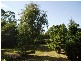202 Paper Beach Road, Swan Point TAS 7275