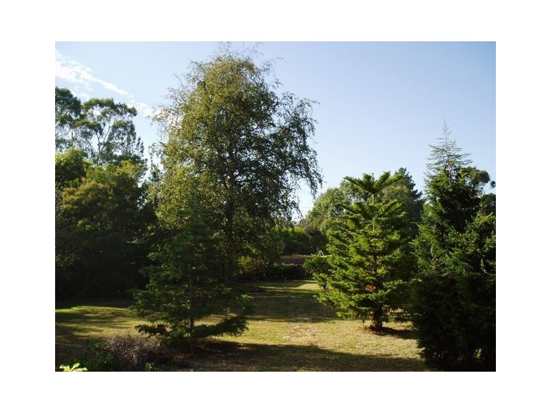 202 Paper Beach Road, Swan Point TAS 7275