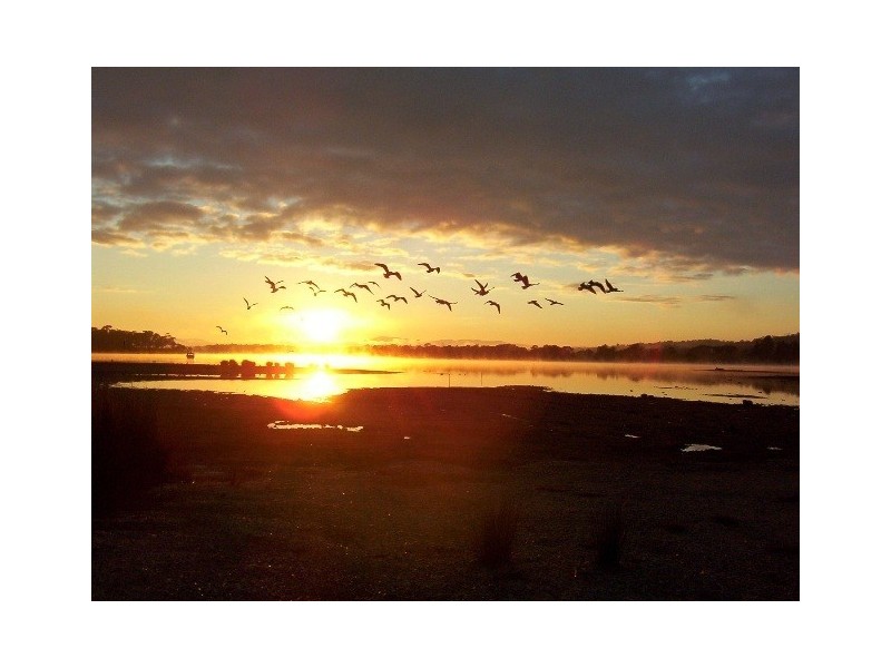 638 Greens Beach Road, York Town TAS 7270