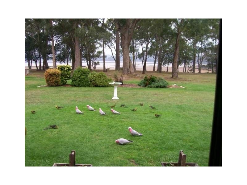 638 Greens Beach Road, York Town TAS 7270