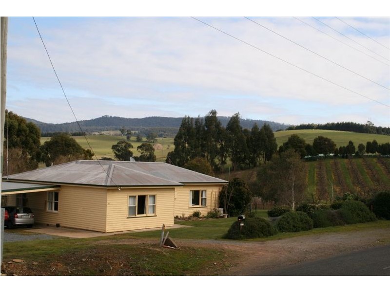 917 Winkleigh Rd, Winkleigh TAS 7275