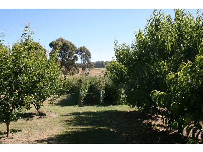 917 Winkleigh Rd, Winkleigh TAS 7275